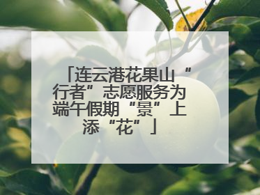 连云港花果山“行者”志愿服务为端午假期“景”上添“花”