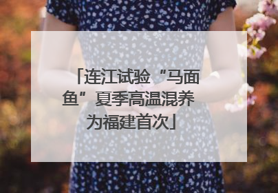 连江试验“马面鱼”夏季高温混养 为福建首次