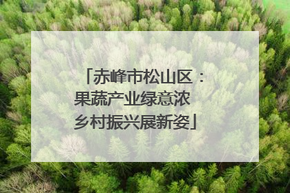 赤峰市松山区：果蔬产业绿意浓 乡村振兴展新姿