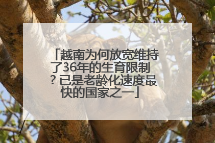 越南为何放宽维持了36年的生育限制？已是老龄化速度最快的国家之一