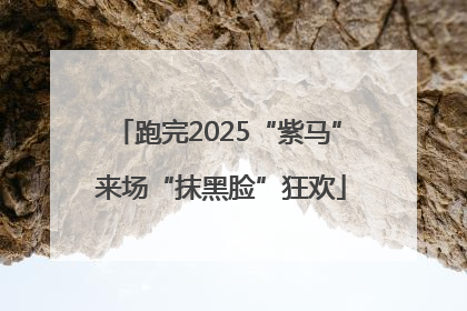 跑完2025“紫马” 来场“抹黑脸”狂欢