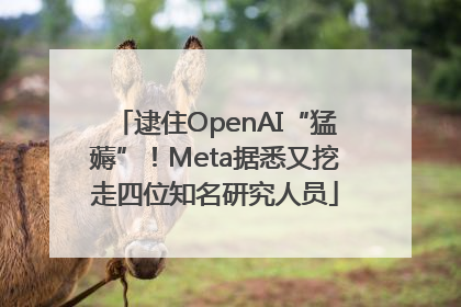 逮住OpenAI“猛薅”！Meta据悉又挖走四位知名研究人员