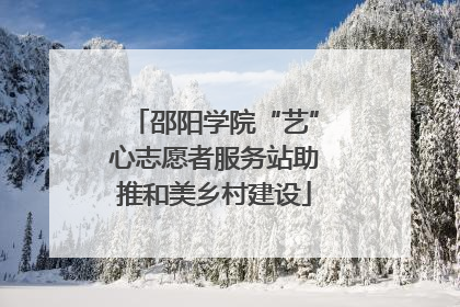 邵阳学院“艺”心志愿者服务站助推和美乡村建设