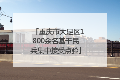 重庆市大足区1800余名基干民兵集中接受点验