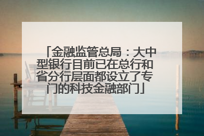 金融监管总局：大中型银行目前已在总行和省分行层面都设立了专门的科技金融部门