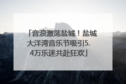音浪激荡盐城！盐城大洋湾音乐节吸引5.4万乐迷共赴狂欢