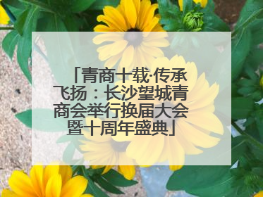 青商十载·传承飞扬：长沙望城青商会举行换届大会暨十周年盛典