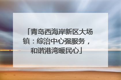 青岛西海岸新区大场镇：综治中心强服务，和谐港湾暖民心