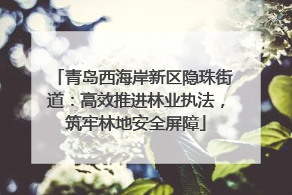 青岛西海岸新区隐珠街道：高效推进林业执法，筑牢林地安全屏障