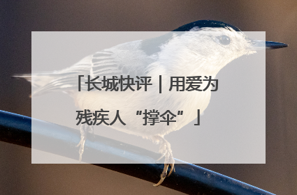 长城快评｜用爱为残疾人“撑伞”