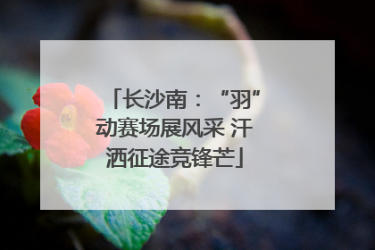 长沙南：“羽”动赛场展风采 汗洒征途竞锋芒