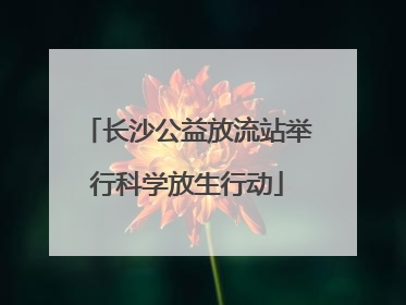 长沙公益放流站举行科学放生行动