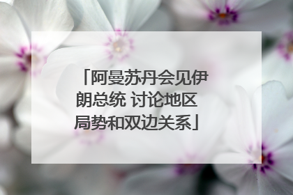 阿曼苏丹会见伊朗总统 讨论地区局势和双边关系