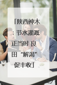 陕西神木：节水灌溉正当时 良田“解渴”促丰收