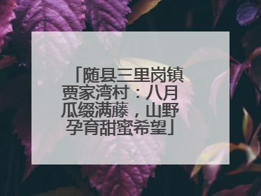 随县三里岗镇贾家湾村：八月瓜缀满藤，山野孕育甜蜜希望