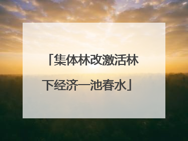 集体林改激活林下经济一池春水