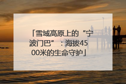 雪域高原上的“宁波门巴”：海拔4500米的生命守护