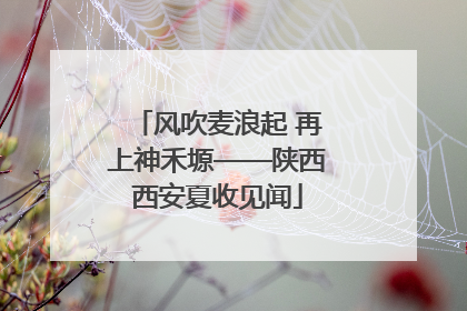 风吹麦浪起 再上神禾塬——陕西西安夏收见闻