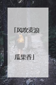 风吹麦浪 瓜果香