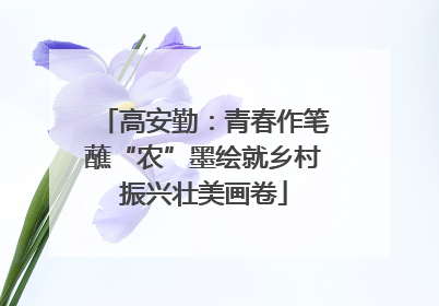 高安勤：青春作笔蘸“农”墨绘就乡村振兴壮美画卷