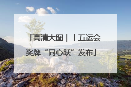 高清大图｜十五运会奖牌“同心跃”发布