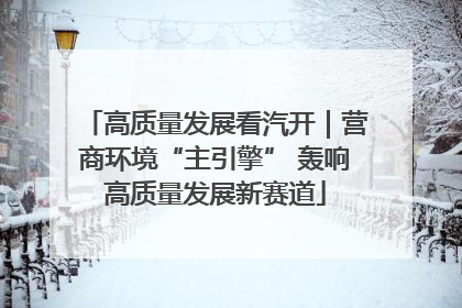 高质量发展看汽开｜营商环境“主引擎” 轰响高质量发展新赛道