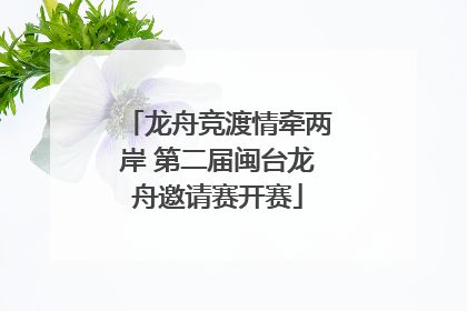 龙舟竞渡情牵两岸 第二届闽台龙舟邀请赛开赛