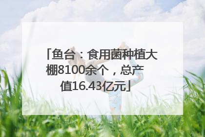 鱼台：食用菌种植大棚8100余个，总产值16.43亿元