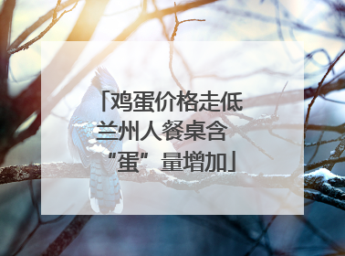 鸡蛋价格走低 兰州人餐桌含“蛋”量增加