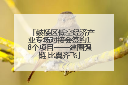 鼓楼区低空经济产业专场对接会签约18个项目——建圈强链 比翼齐飞