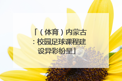 （体育）内蒙古：校园足球课程建设异彩纷呈