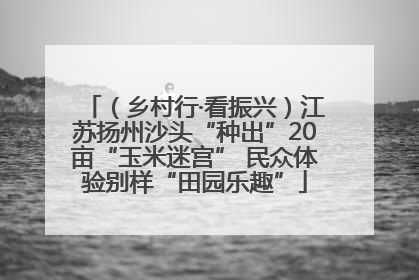 （乡村行·看振兴）江苏扬州沙头“种出”20亩“玉米迷宫” 民众体验别样“田园乐趣”