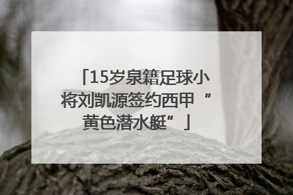 15岁泉籍足球小将刘凯源签约西甲“黄色潜水艇”
