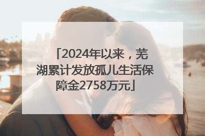 2024年以来，芜湖累计发放孤儿生活保障金2758万元