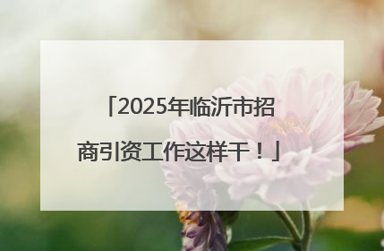 2025年临沂市招商引资工作这样干！