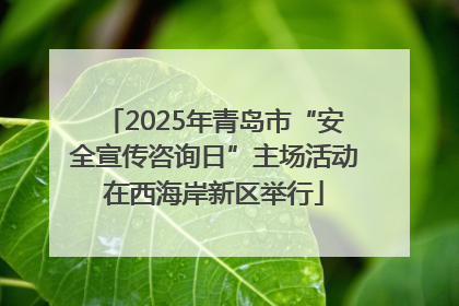 2025年青岛市“安全宣传咨询日”主场活动在西海岸新区举行