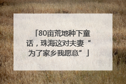 80亩荒地种下童话，珠海这对夫妻“为了家乡我愿意”