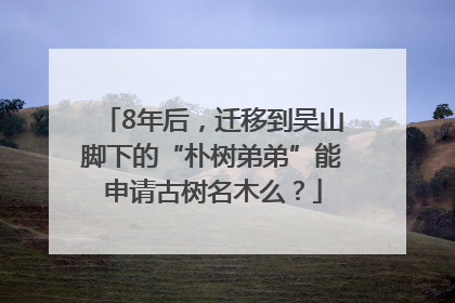 8年后，迁移到吴山脚下的“朴树弟弟”能申请古树名木么？